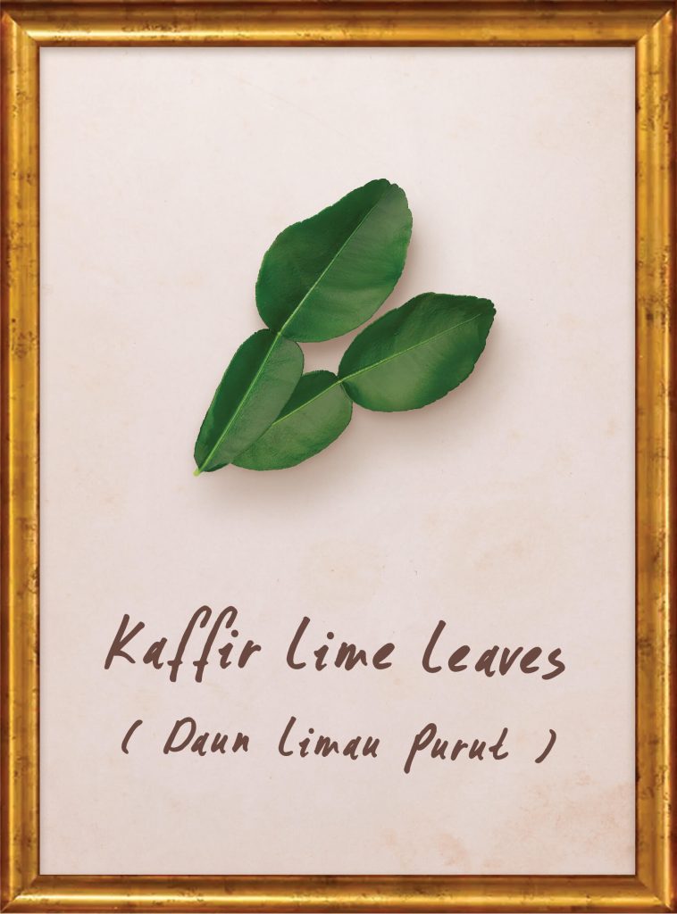 Kaffir Lime Leaf