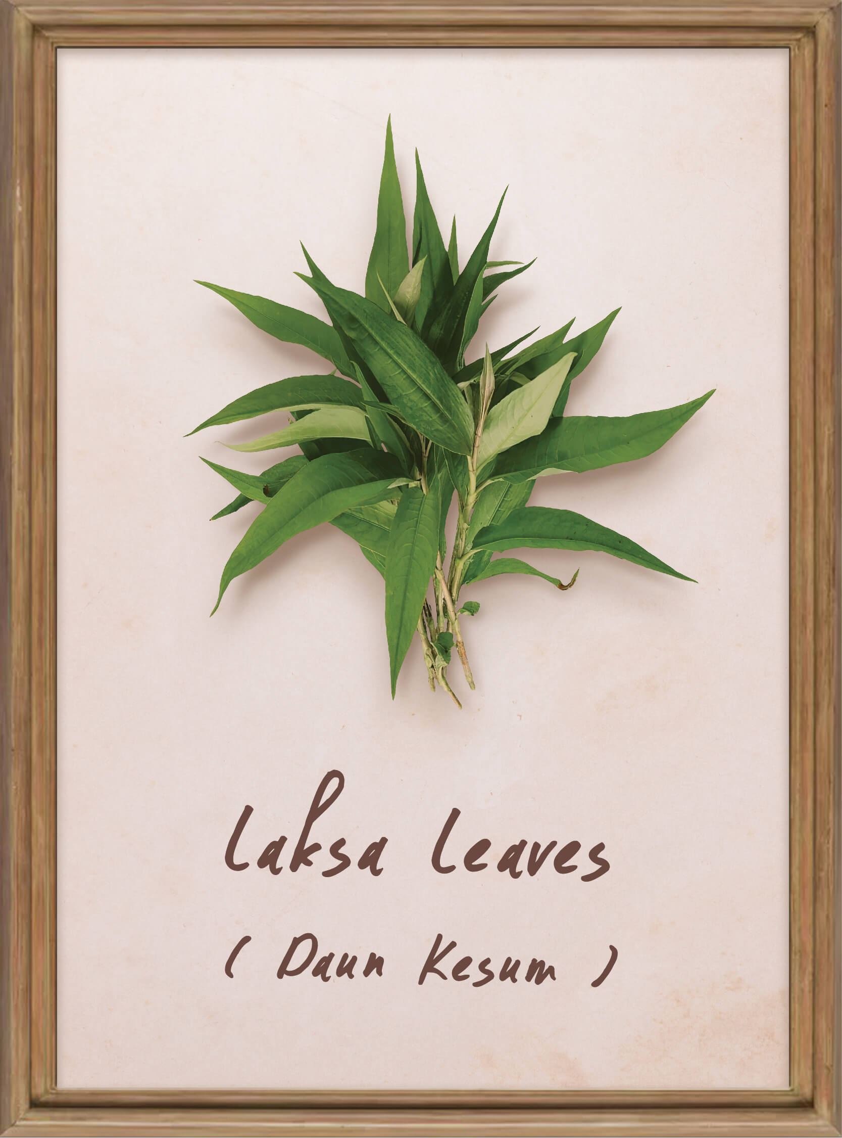 plants-laksa-leaves plants-laksa-leaves