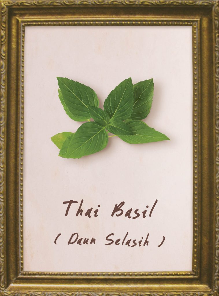 Thai Basil