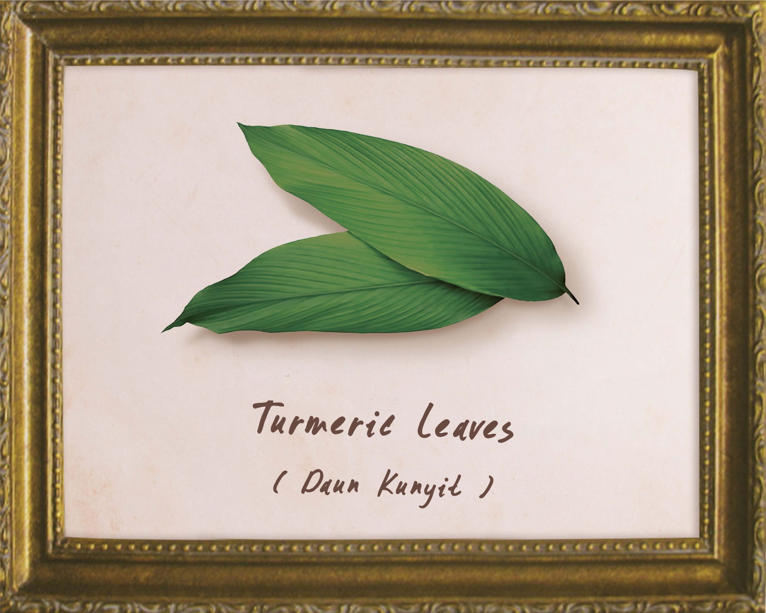 Turmeric
